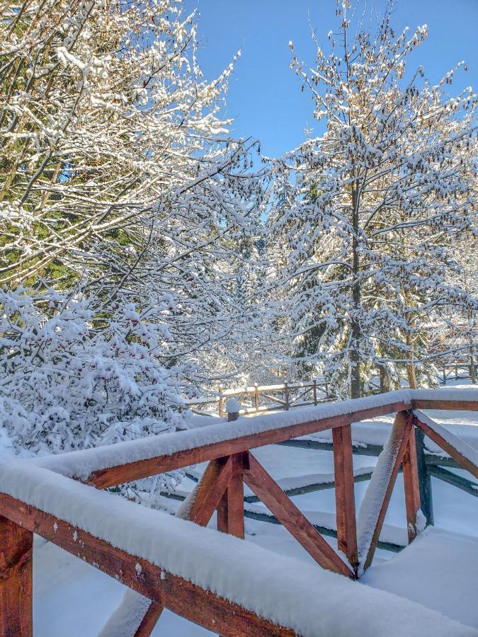 Guest Rooms- Klepalski House Borovets Luaran gambar