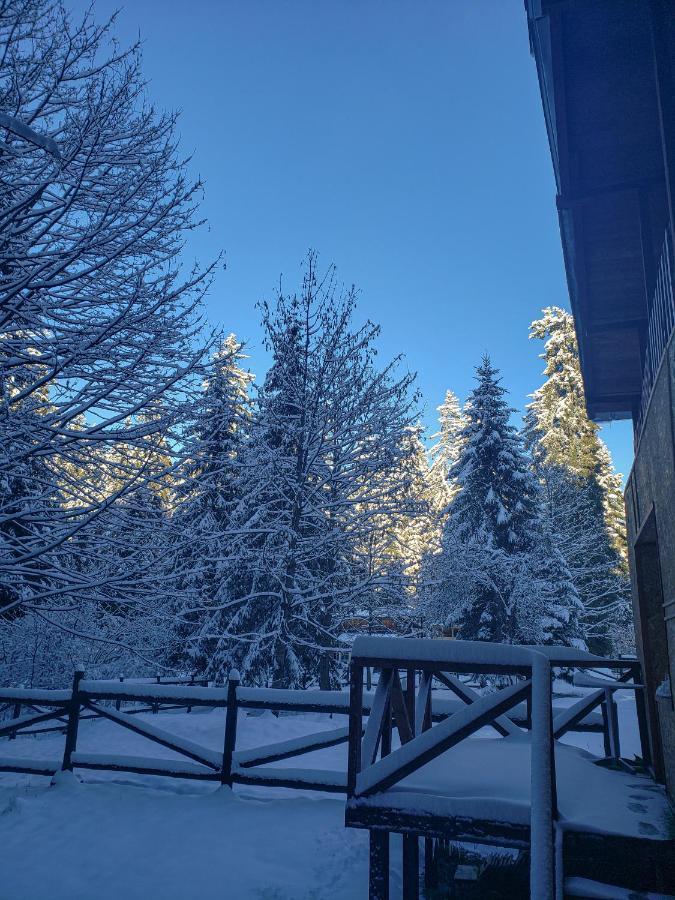 Guest Rooms- Klepalski House Borovets Luaran gambar