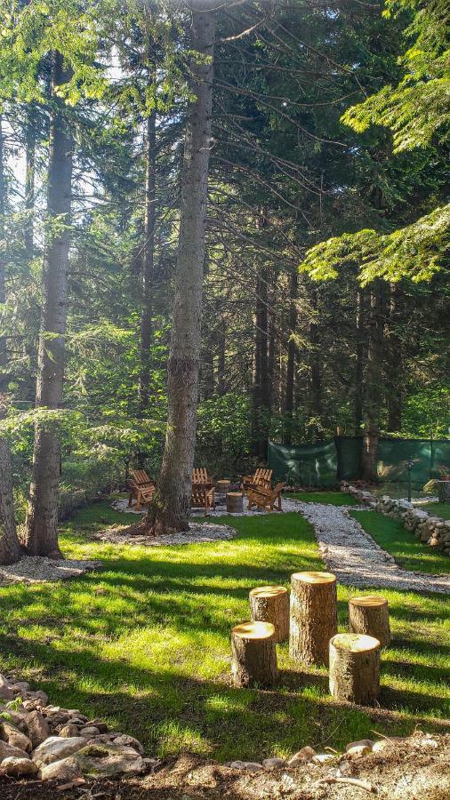 Guest Rooms- Klepalski House Borovets Luaran gambar